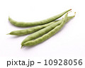 インゲンの収穫 10928056