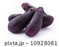 ナスの収穫 10928061