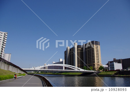 隅田川と新豊橋 隅田川と新豊橋 10928093