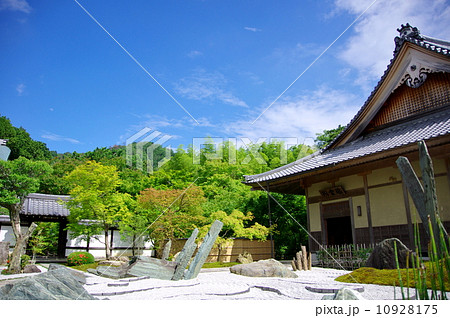 圓光寺の奔龍庭 10928175