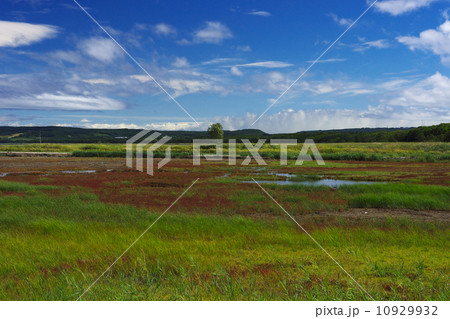 能取湖の秋 10929932