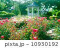 港の見える丘公園 10930192