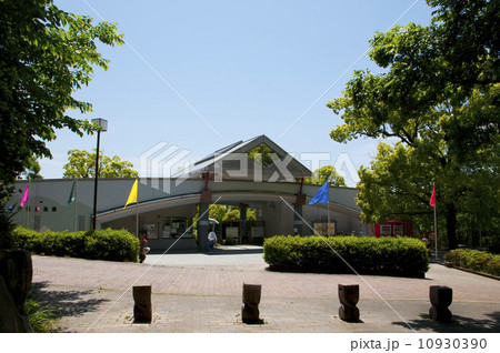 大牟田市動物園 10930390