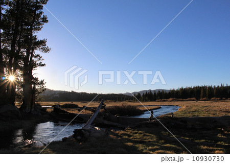 トゥオルミメドー ヨセミテ国立公園 トゥオルミメドー ヨセミテ国立公園 10930730