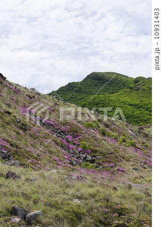 春のえびの高原 春のえびの高原 10931403