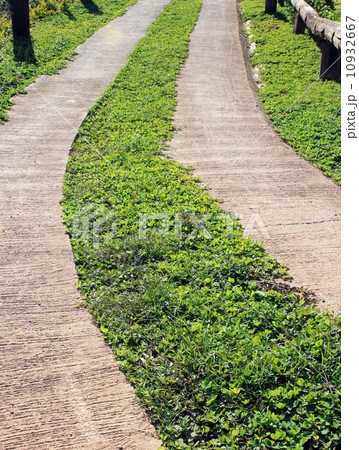 Paths through the park 10932667