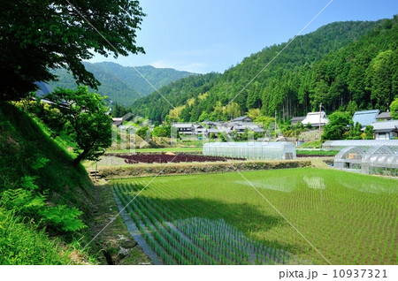 洛北大原農村風景 10937321