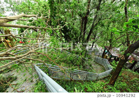 Damaged after typhoon 10941292