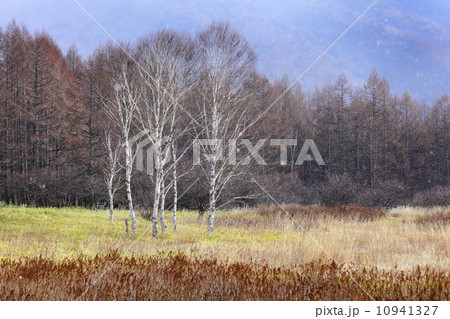 Plateau in Japan 10941327