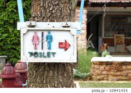 toilet sign on the tree 10941433