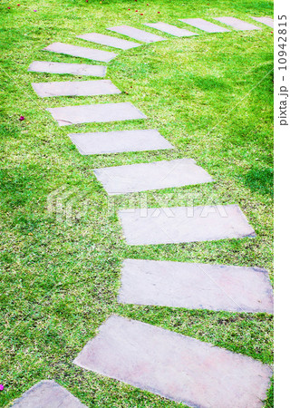 Stone walkway in the garden 10942815