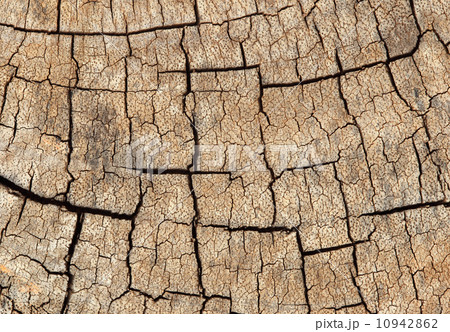 wood texture background 10942862