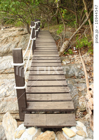 wooden walk way wooden walk way 10944547