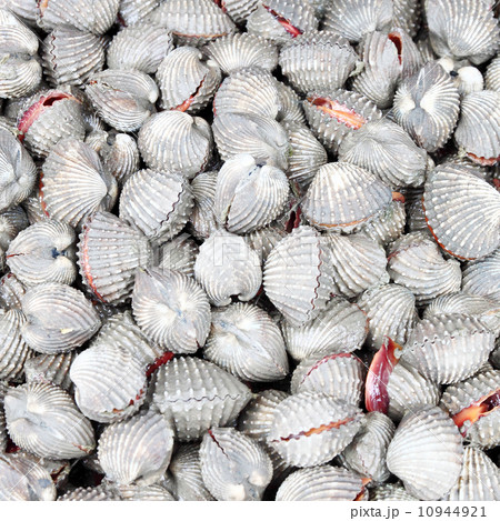 Cockles at the market 10944921