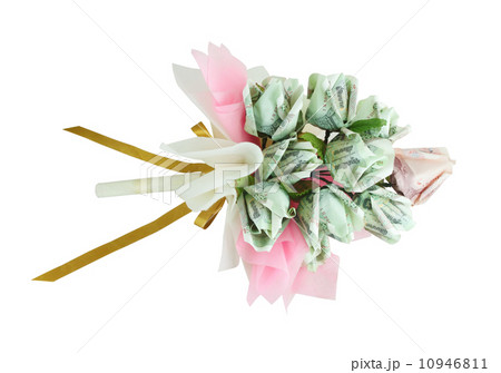 money flower money flower 10946811