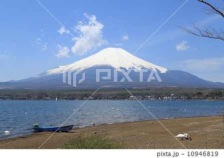 Mt.Fuji at Lake Yamanaka, Japan 10946819