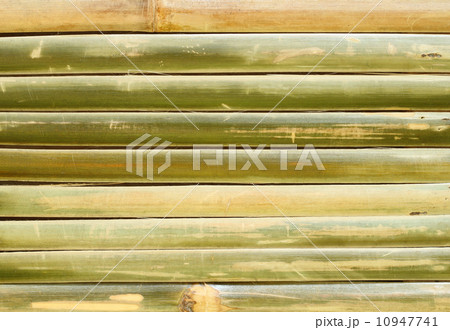 bamboo fence bamboo fence 10947741