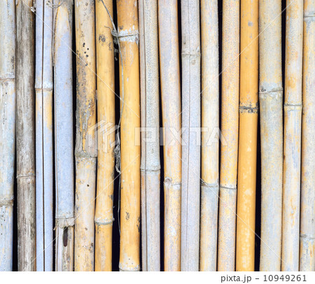 bamboo wall background 10949261