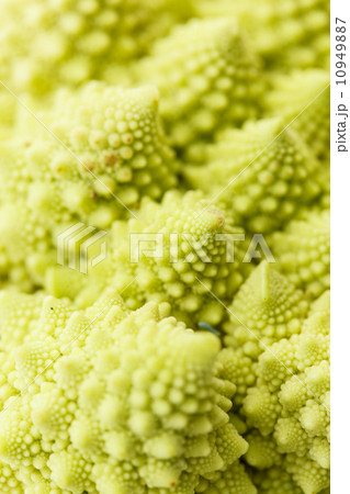 romanesko broccoli 10949887