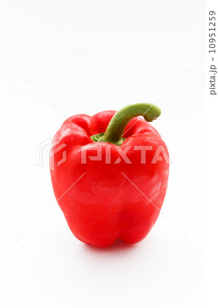 fresh bell pepper 10951259