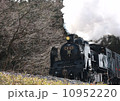 SL 10952220