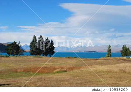 テカポ湖 10953209