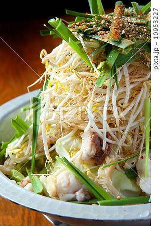 もつ鍋 もつ鍋 10953227