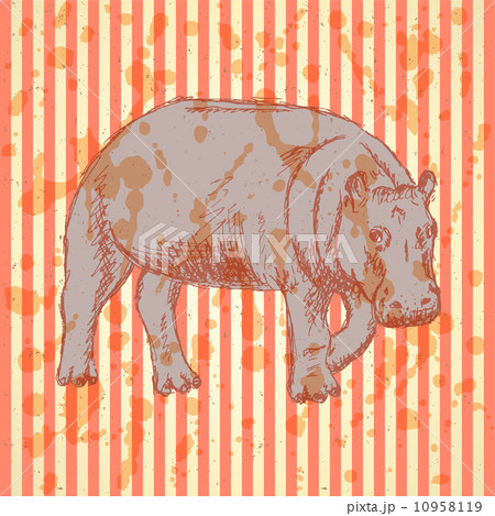 Sketch hippo, vector vintage background 10958119