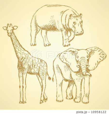 Sketch elepant, giraffe and hippo, vector background 10958122