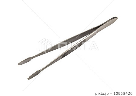 Forceps 10958426