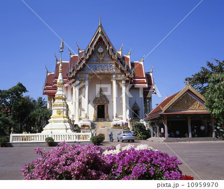 ワット・ポー・チャイ 10959970