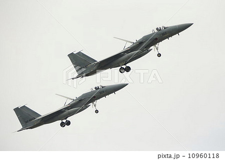 Ｆ１５戦闘機 10960118