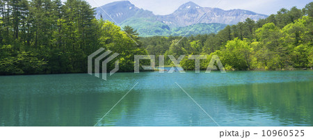 裏磐梯高原の五色沼 10960525