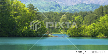 裏磐梯高原の五色沼 10960527