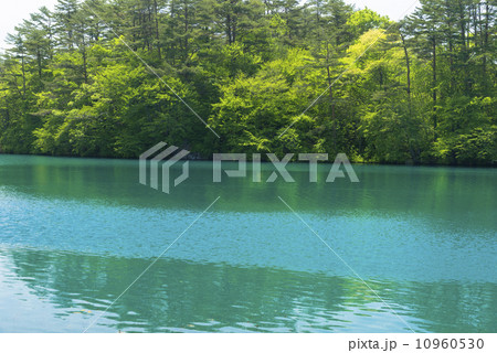 裏磐梯高原の五色沼 裏磐梯高原の五色沼 10960530