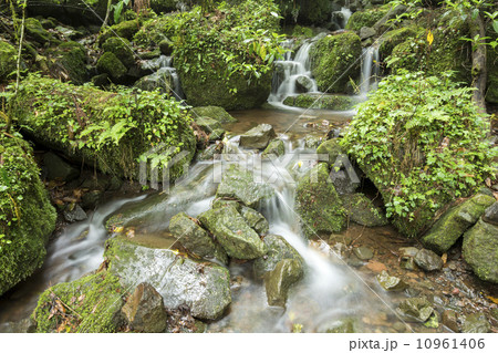 菊池渓谷に流れ込む沢 10961406