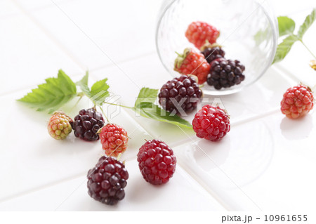 ブラックベリー 10961655