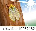 セミ 10962132
