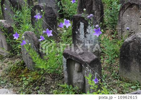 元興寺　桔梗と石仏 10962615