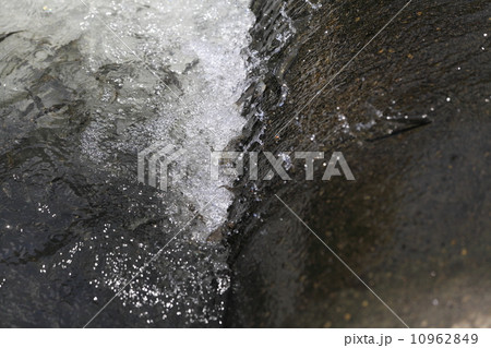 多摩川を遡上する稚鮎 10962849