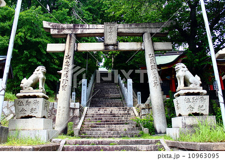 若松の白山神社 10963095