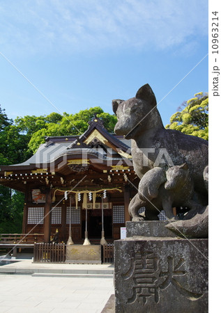 女化神社 10963214