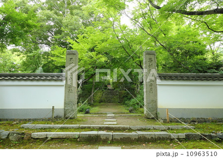 京都　浄住寺 10963510