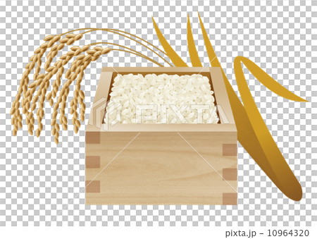 Rice and ear 10964320