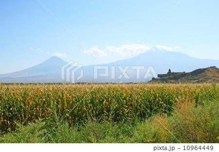 Khor Virap Church and mountain Ararat 10964449
