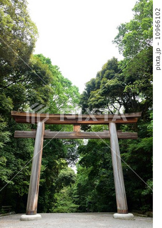 近江神宮 10966102