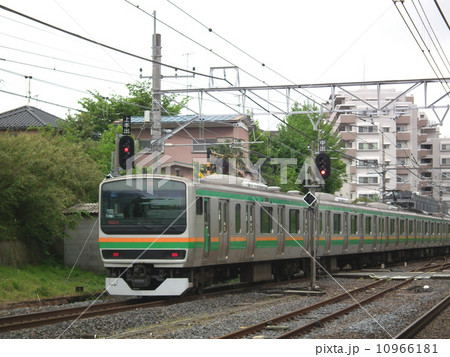 宇都宮線　E231系　　蓮田駅 10966181
