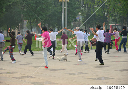 中国の公園 中国の公園 10966199