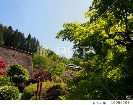 下呂温泉合掌村 10966508