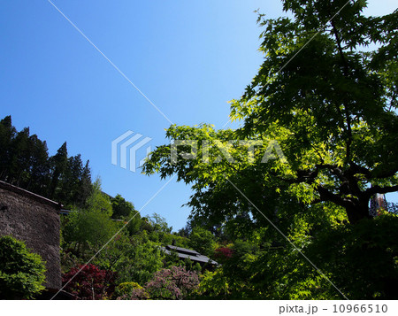 下呂温泉合掌村 10966510